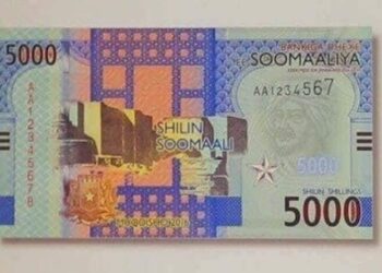 Somalia Set to Reissue Shilling in Bold Move to Revive Economy and Tackle Poverty