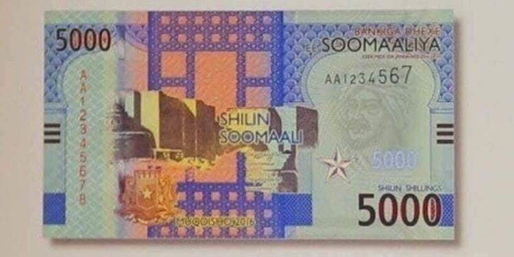 Somalia Set to Reissue Shilling in Bold Move to Revive Economy and Tackle Poverty