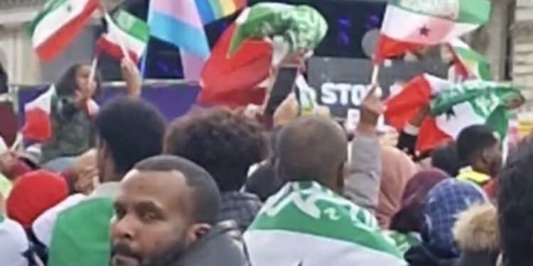 Somaliland Supporters Briefly Join Anti-Racism Rally in London, Claiming the Protest as Their Own