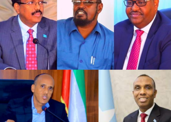 Somaliland Alleges Major Political Players Behind LasAnod Conflict, Excludes Ahmed Madobe and PM Hamze from Accusations