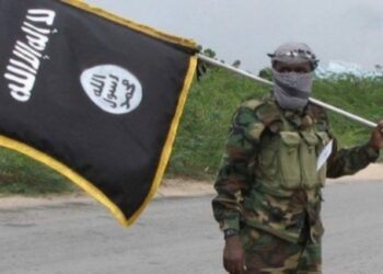 Al-Shabaab Leaders Relocate Their Children Amid Intensifying Military Campaign