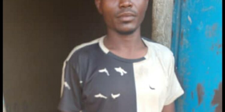 Puntland Forces Capture Foreign ISIS Leaders in Security Sweep in Bari Region