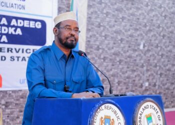 ADVOCATING FOR FORCEFUL REGIME CHANGE IN JUBALAND: NOT A PATRIOTIC OPTION – FOCUS ON DIALOGUE FOR A PEACEFUL TRANSITION
