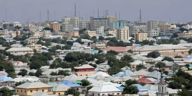 Security Forces in Mogadishu Apprehend Suspects Photographing Government Camp