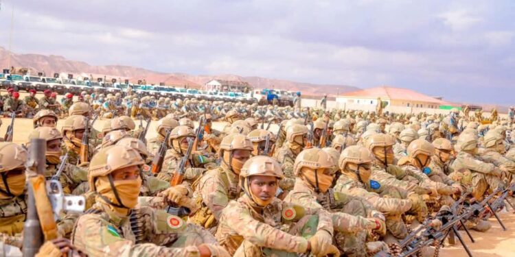 More Foreign Fighters’ Bodies Found in Puntland Anti-ISIS Push