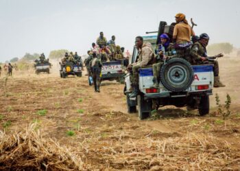 Security forces claim gains against Al-Shabab in Middle Shabelle