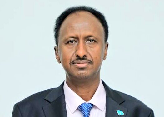 Somali Internal Security Minister Arrives in Belgrade to Strengthen ...