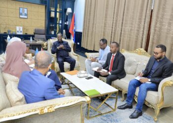 Mogadishu Mayor Meets with World Bank Delegation to Discuss Urban Development and Infrastructure Projects