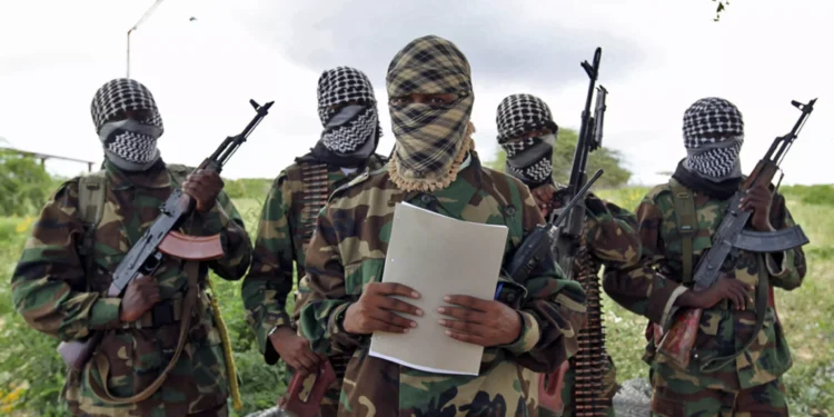 Al-Shabaab Militants in Elbur District Hand Over Weapons to Traditional Elders