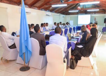 UN Backs Somali Workshop to Accelerate National Stabilisation Strategy