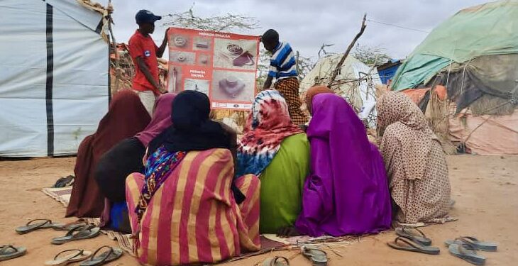 Japanese Grant Boosts Humanitarian Demining Efforts in Somalia ...