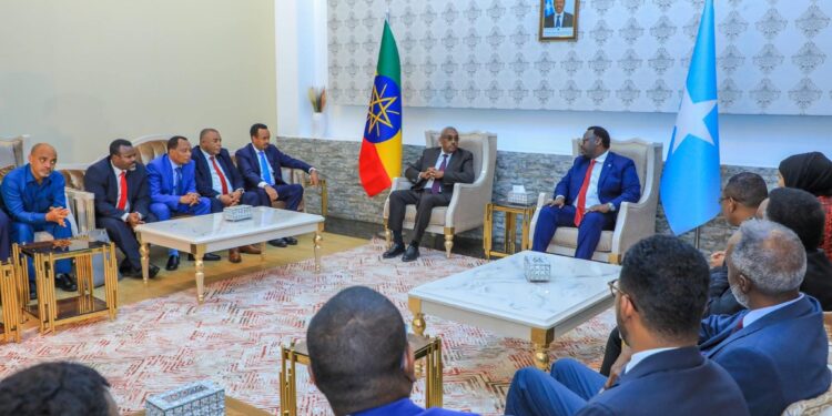 Somali Deputy Prime Minister Welcomes Ethiopian Counterpart to Mogadishu for Bilateral Talks.