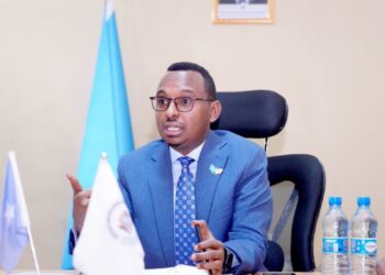 Somali Auditor General Names 18 Officials in Possession of Government Vehicles