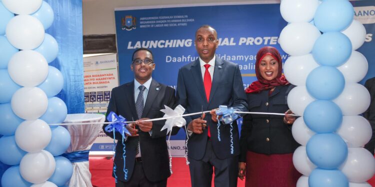 Somalia Launches Unified Social Registry to Bolster Disaster Resilience and Poverty Reduction