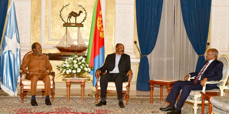 Somali and Eritrean Presidents Hold Meeting at Eritrean State House