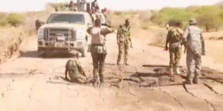 Five Al-Shabaab Militants Killed in IED Assembly Process in Lower Juba Region