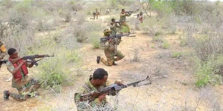 Somali National Army Liberate Jameeco from Al-Shabaab