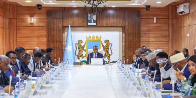 Somali Cabinet Approves Record Budget for 2025