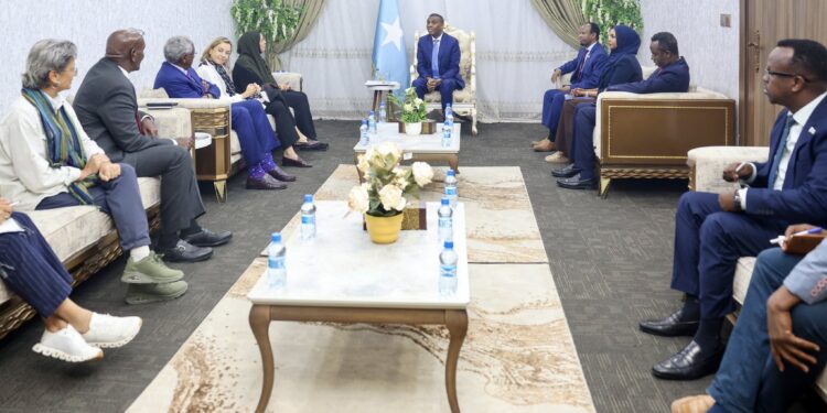Somalia PM Discusses Health System Resilience with WHO Regional Director