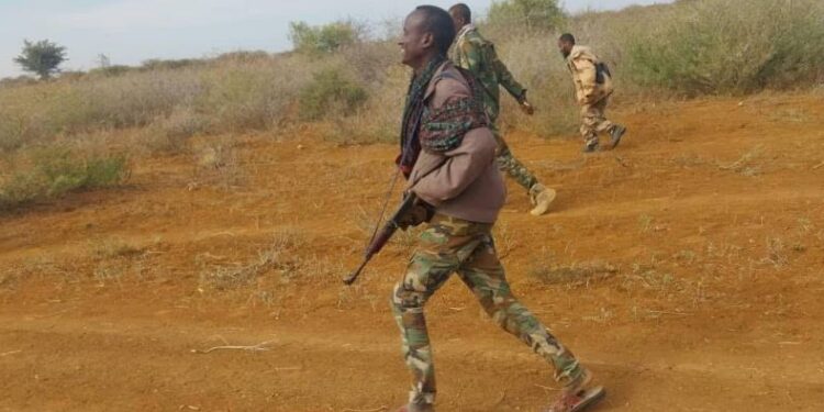 Macawisley Forces Launch Attack on Al-Shabaab Base in Galgaduud
